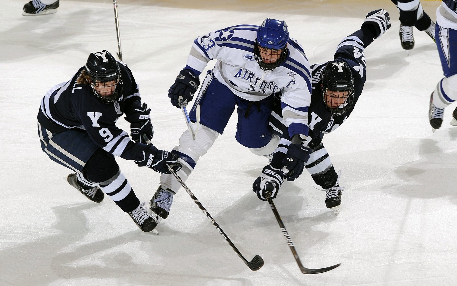 残障人士与健全者结对跑 一起完成十公里共享荣耀